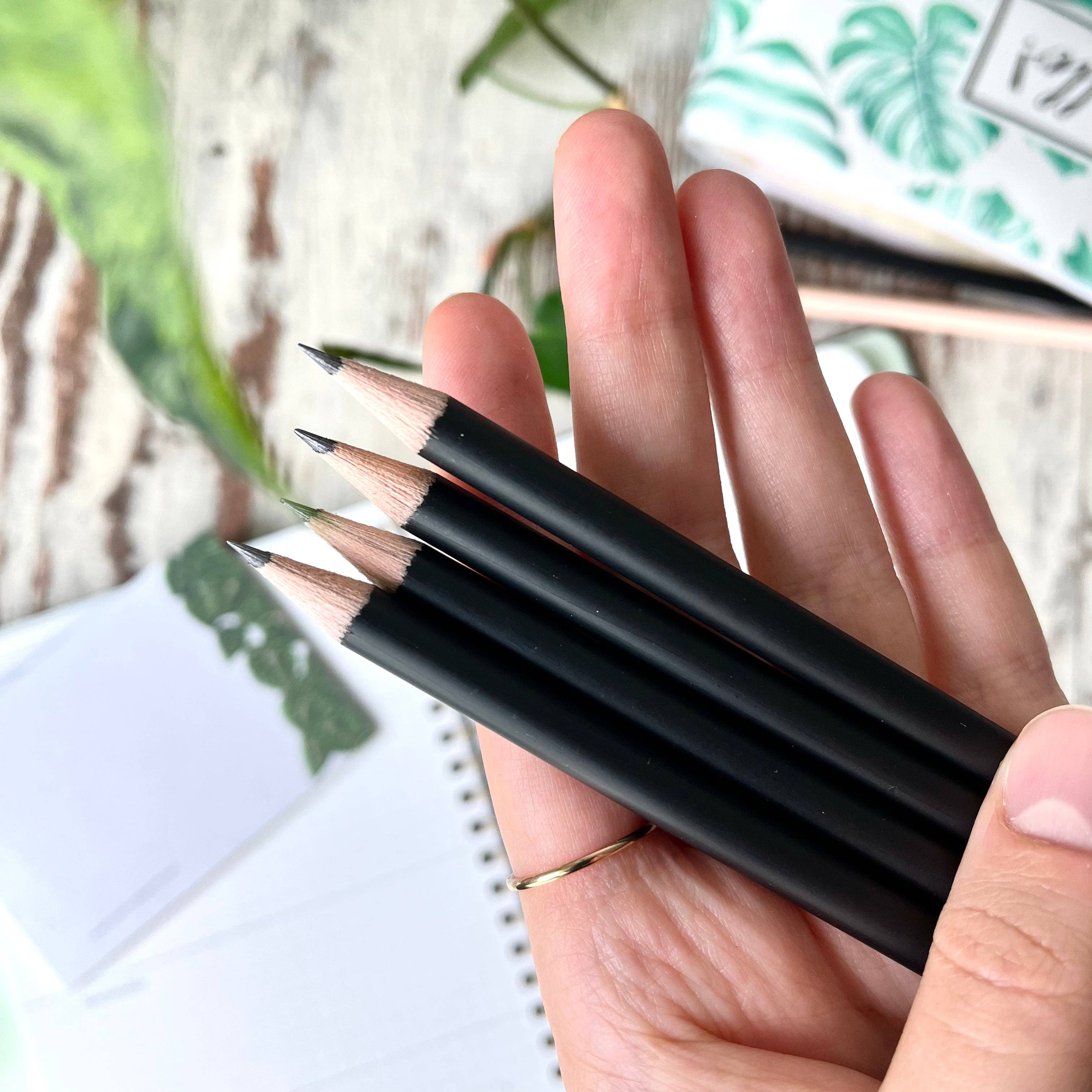 plantyintroverts - Wholesale Pencil - Pencil - Introverted but Willing to Discuss Plants, Cats, Books & TV Shows2