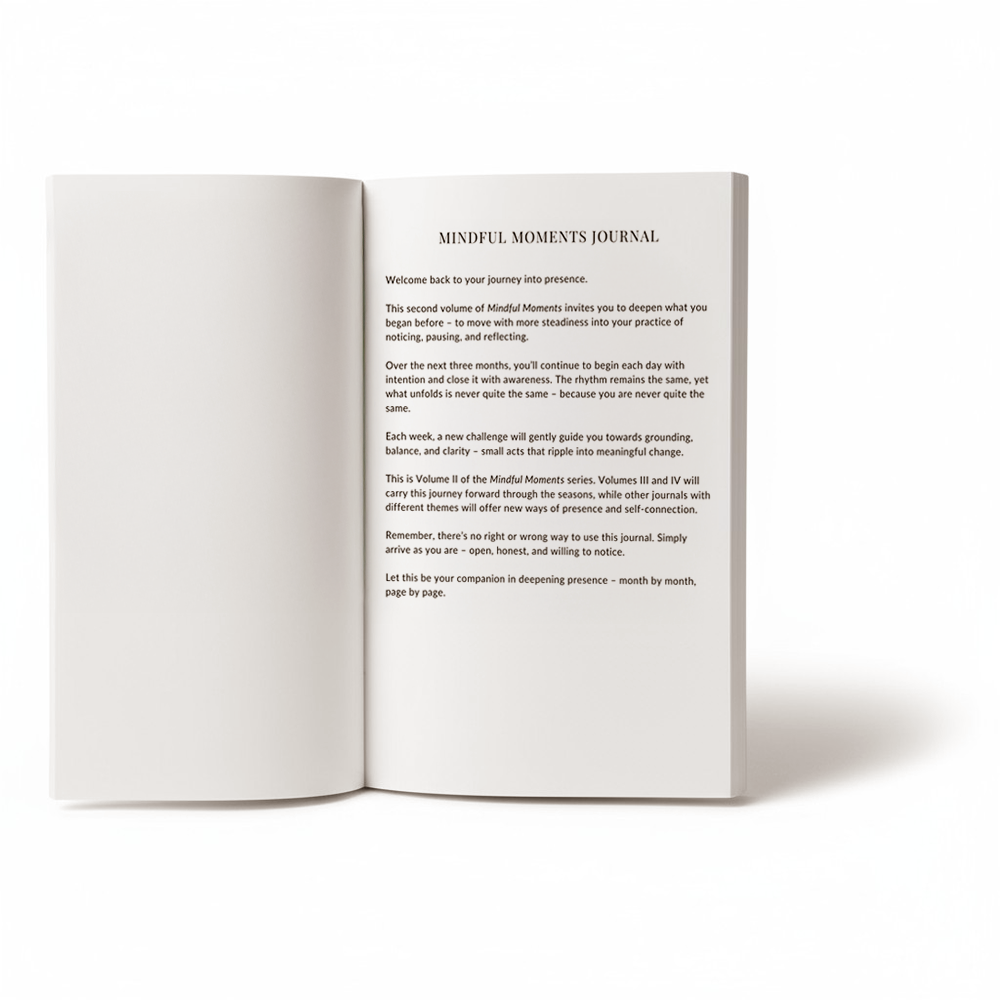 VIE – wholesale Journal/diary – Mindful Moments Journal, Paperback1