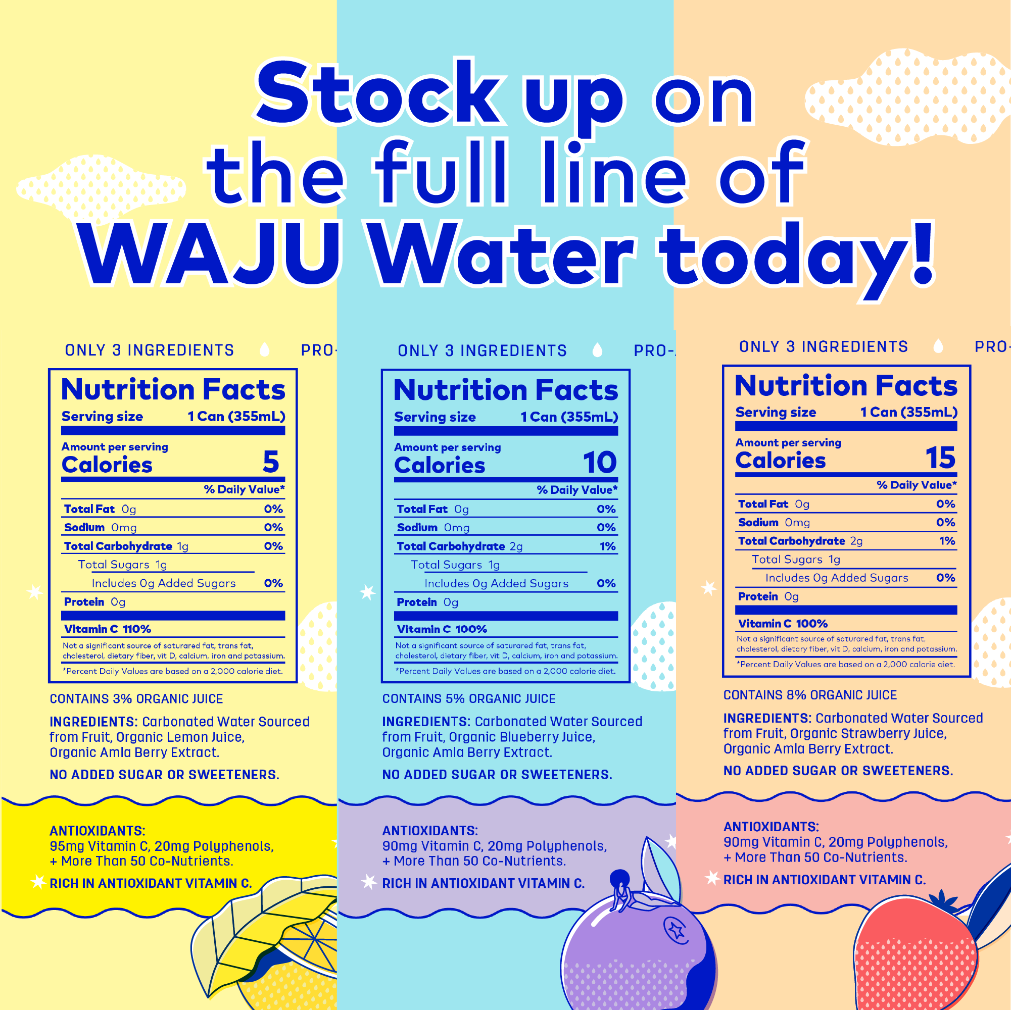 WAJU Water - Wholesale Sparkling Water - Lemon Water from Fruit | Sparkling Water | Antioxidants5