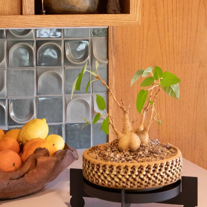 Upton - Wholesale Plant Pot Stand - BAL - Black | Plant Stand1