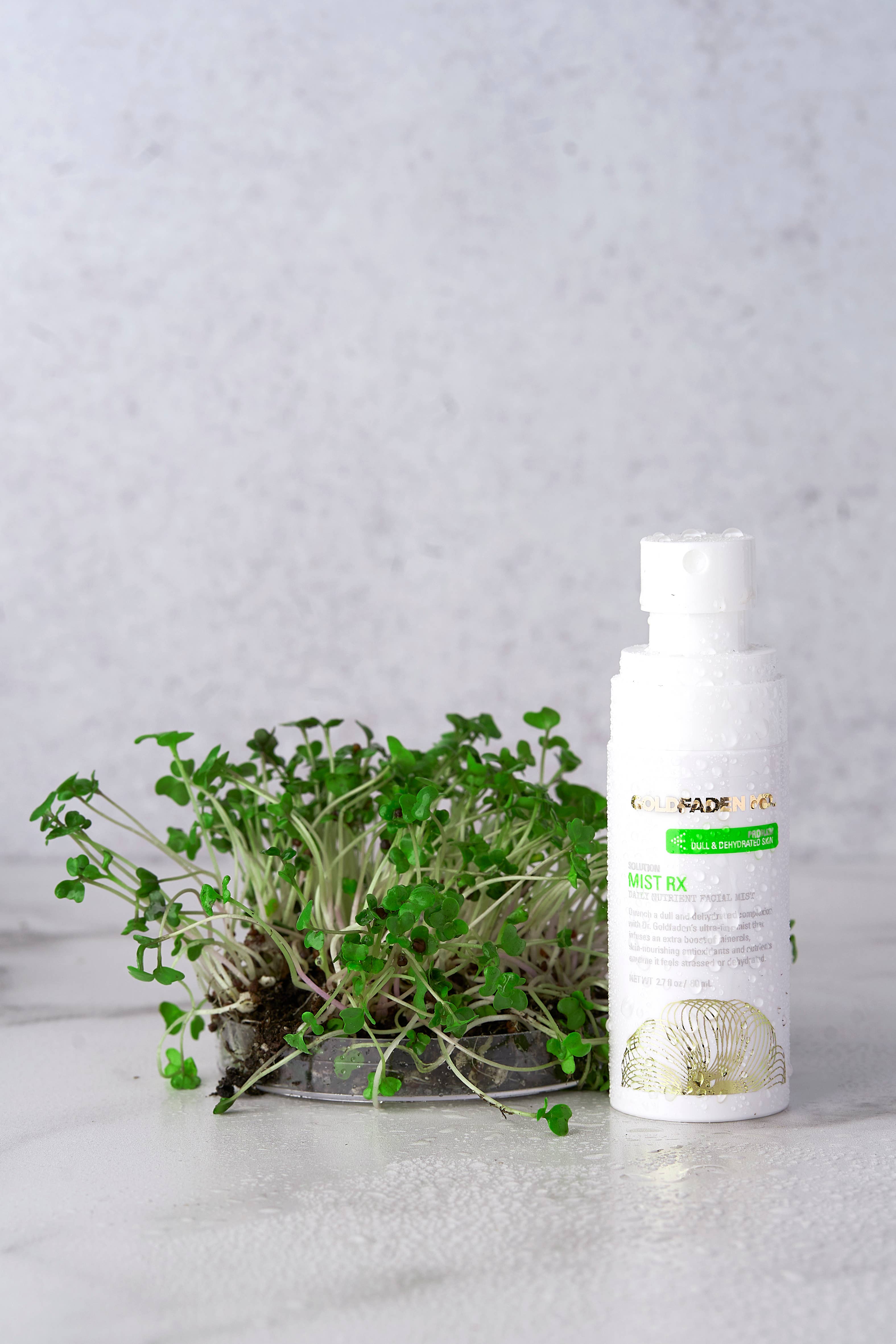 Goldfaden MD - Wholesale Face & Body Mist/Water - Mist RX Hydrating Face & Body Mist4