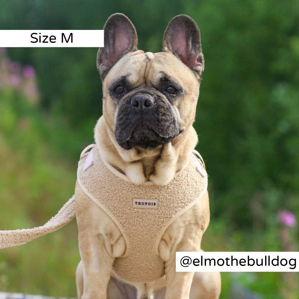 Trufois – wholesale Sele - Hund – Teddy Lite koppelsele – Cappuccino2