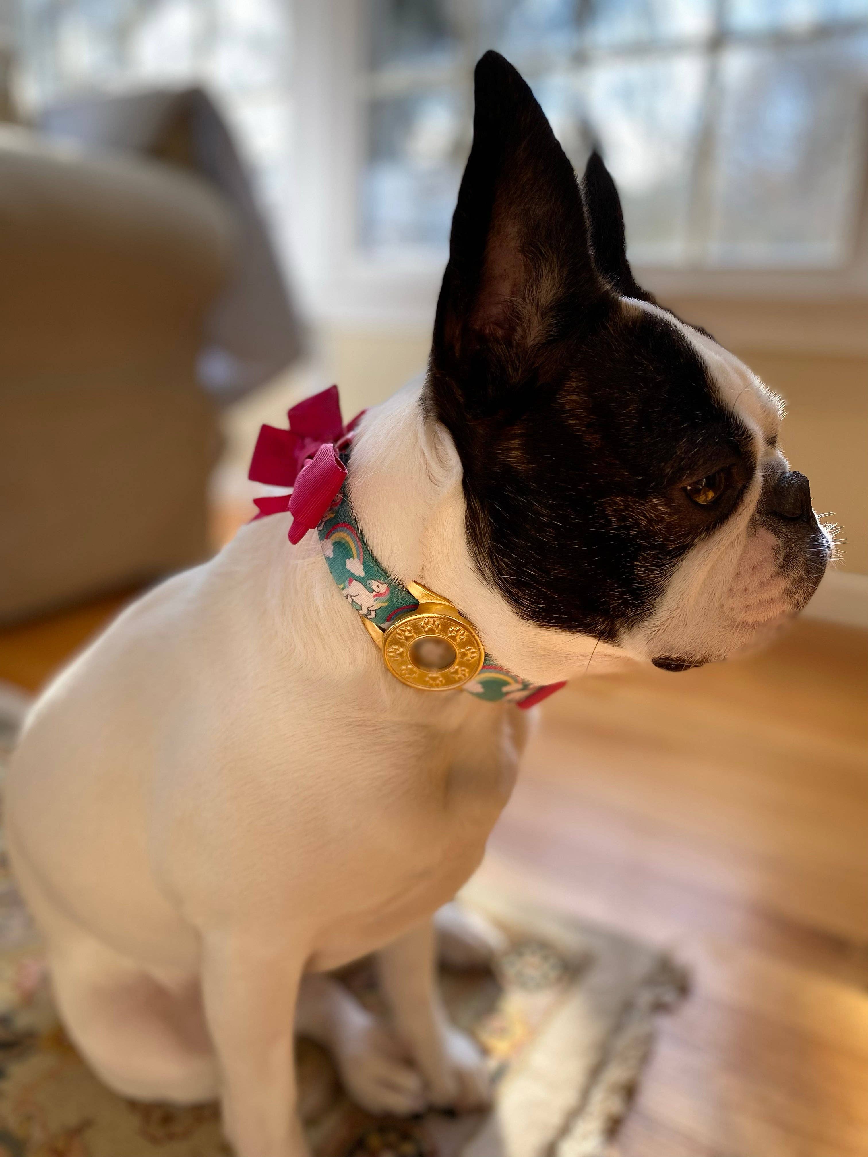 Norma Jean Designs - Wholesale Pet Collar Charm - Cat/Dog - Pet Collar Attachment for AirTags, Available in Gold or Silver, Heart or Paw