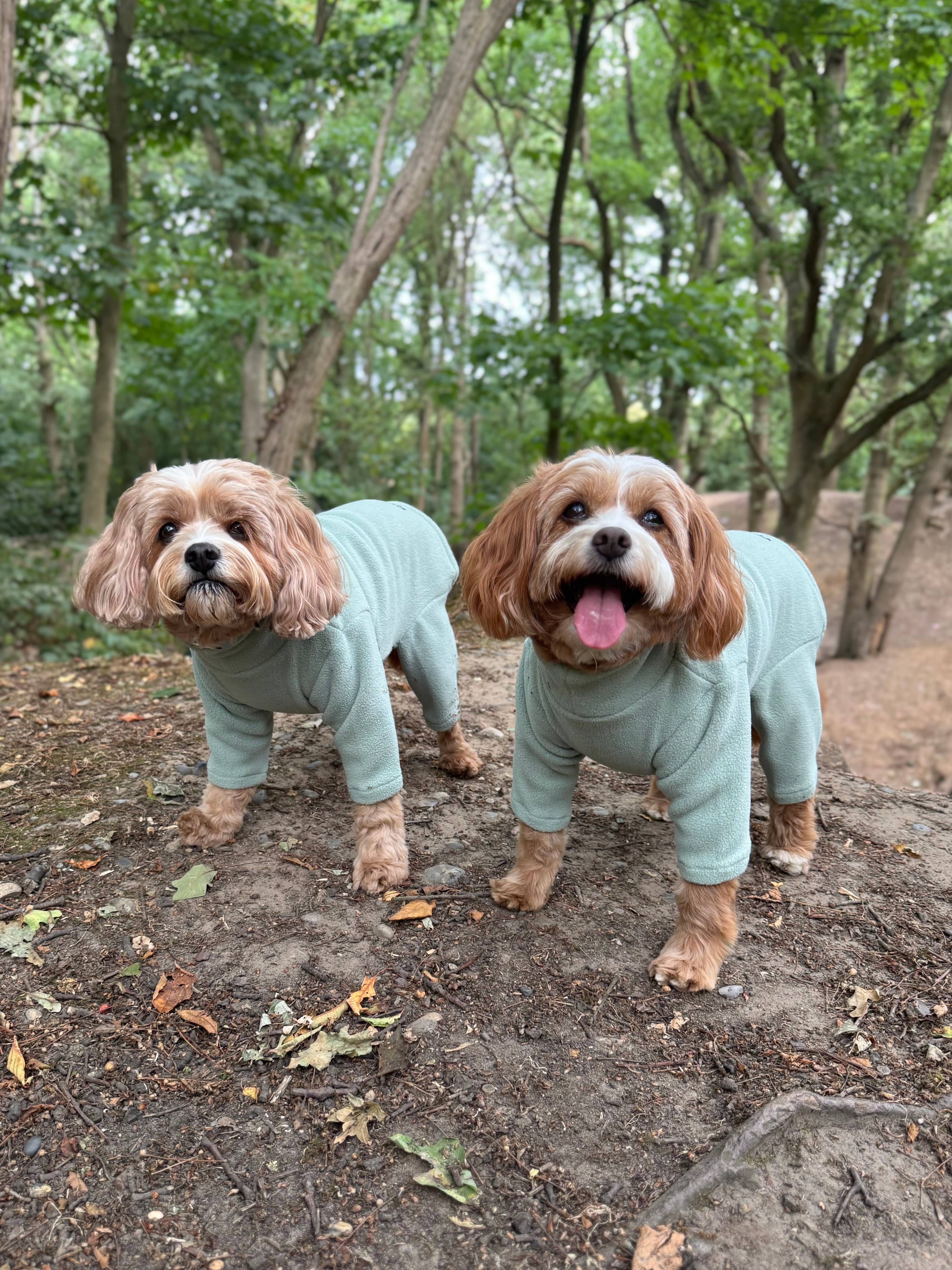 Pet Wiz - Vente Pull – chien - Pull polaire quatre pattes pour chien - Large choix de tailles et couleurs10