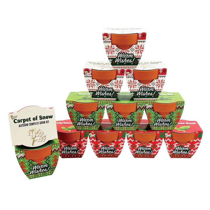 Buzzy Grow Gifts - Wholesale Plant Seeds - Holiday Plant Grow Bundle 2025 – Gift & Stocking Stuffer4