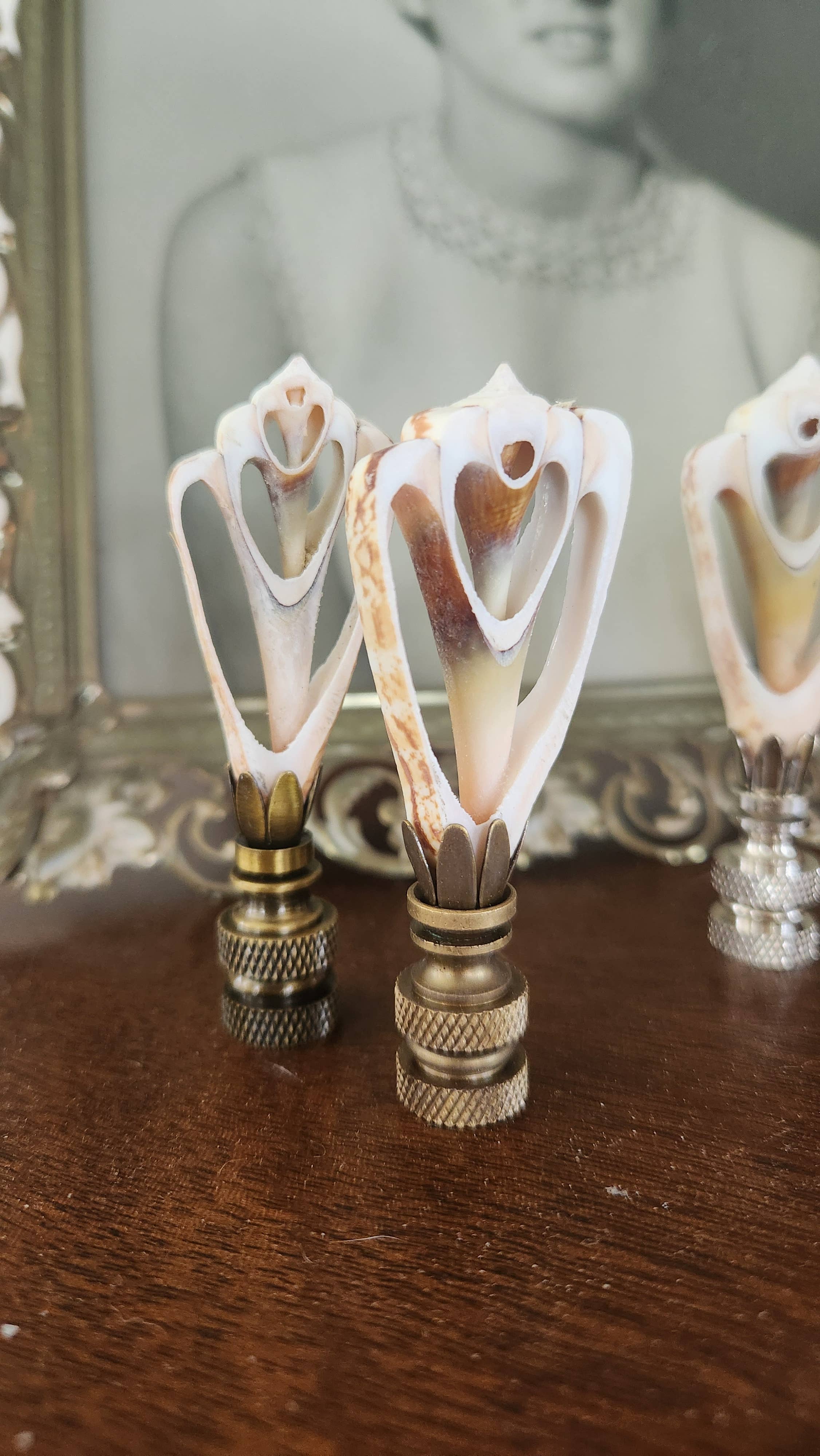 White Tulip Boutique - Wholesale Decorative Tabletop Object - Petite, Sliced Seashell Lamp Finial, Pair6