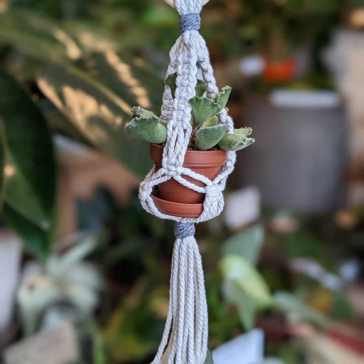 Leaf and Cord - Wholesale Hanging Planter - Mini Macrame Plant Hanger3