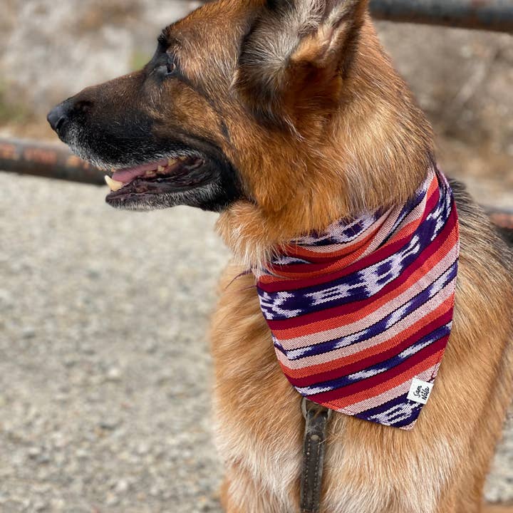 Sam & Nala | intentional style for pets & their people - Wholesale Pet Bandana - Dog - Esperanza Dog Bandana- Handwoven / Fair Trade