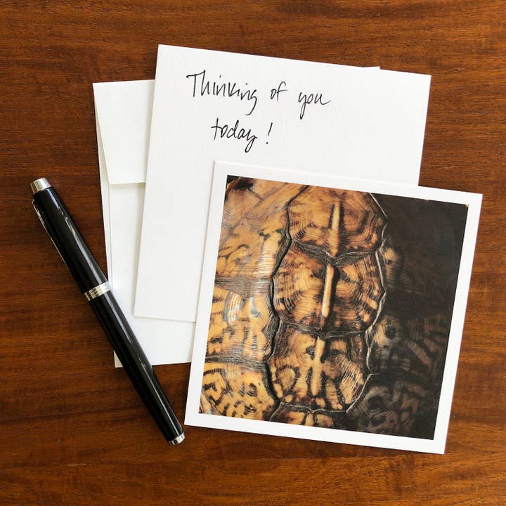 Cartão em branco da casca da tartaruga por atacado de Whispered Light Greeting Cards