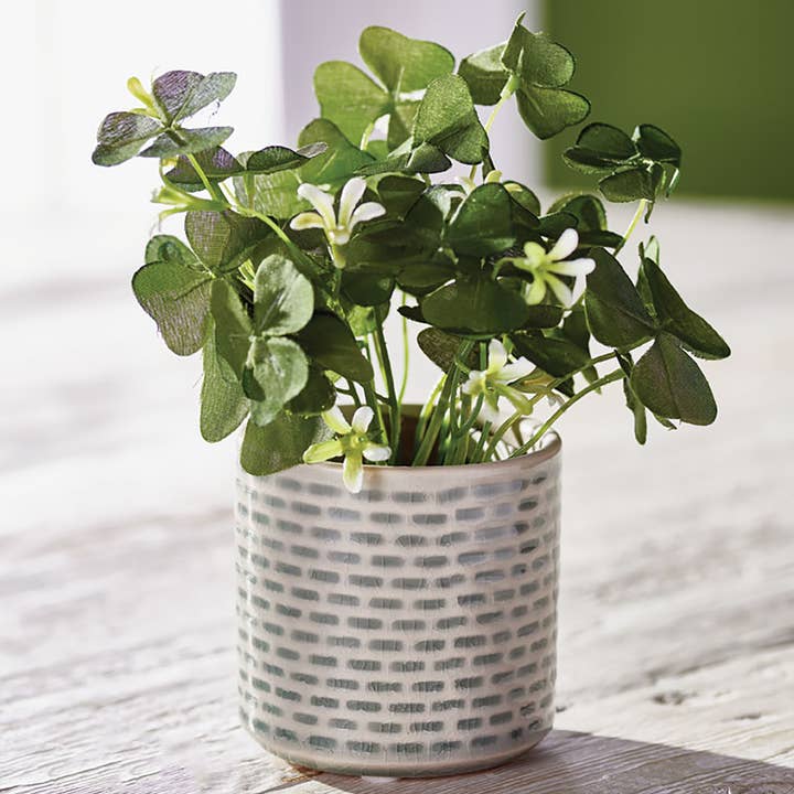 Napa Home & Garden – Großhandel Kunstpflanzen – Clover vergossen 6.5"1