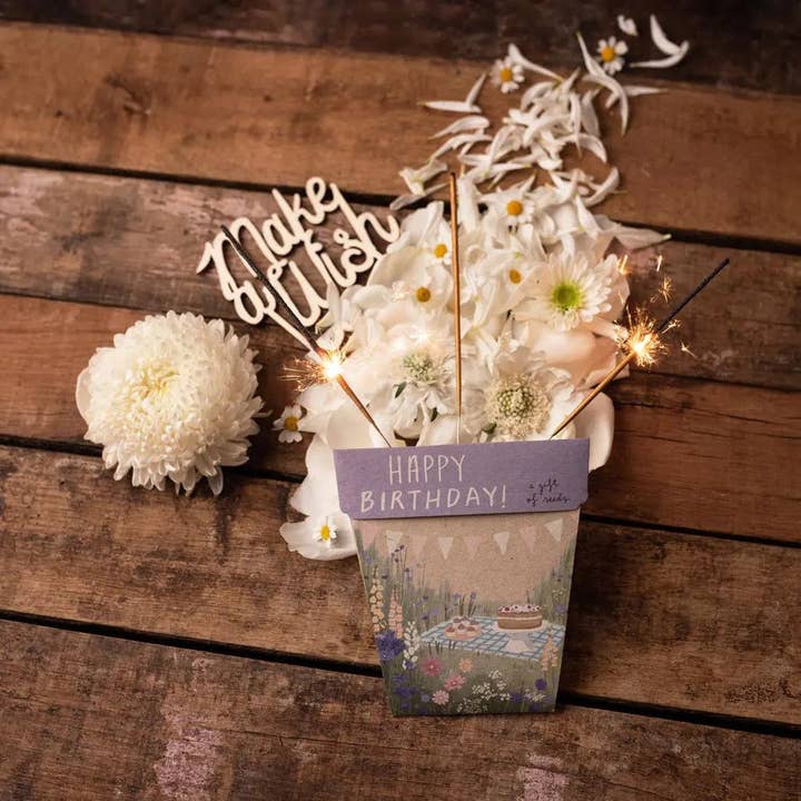 Sow 'n Sow - Wholesale Plant seeds - Happy Birthday Picnic Gift of Seeds (Australia Only)5