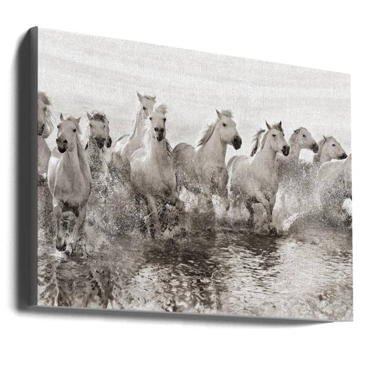 Wall art Illusion of power (13 horse power though) for wholesale by GTA ART