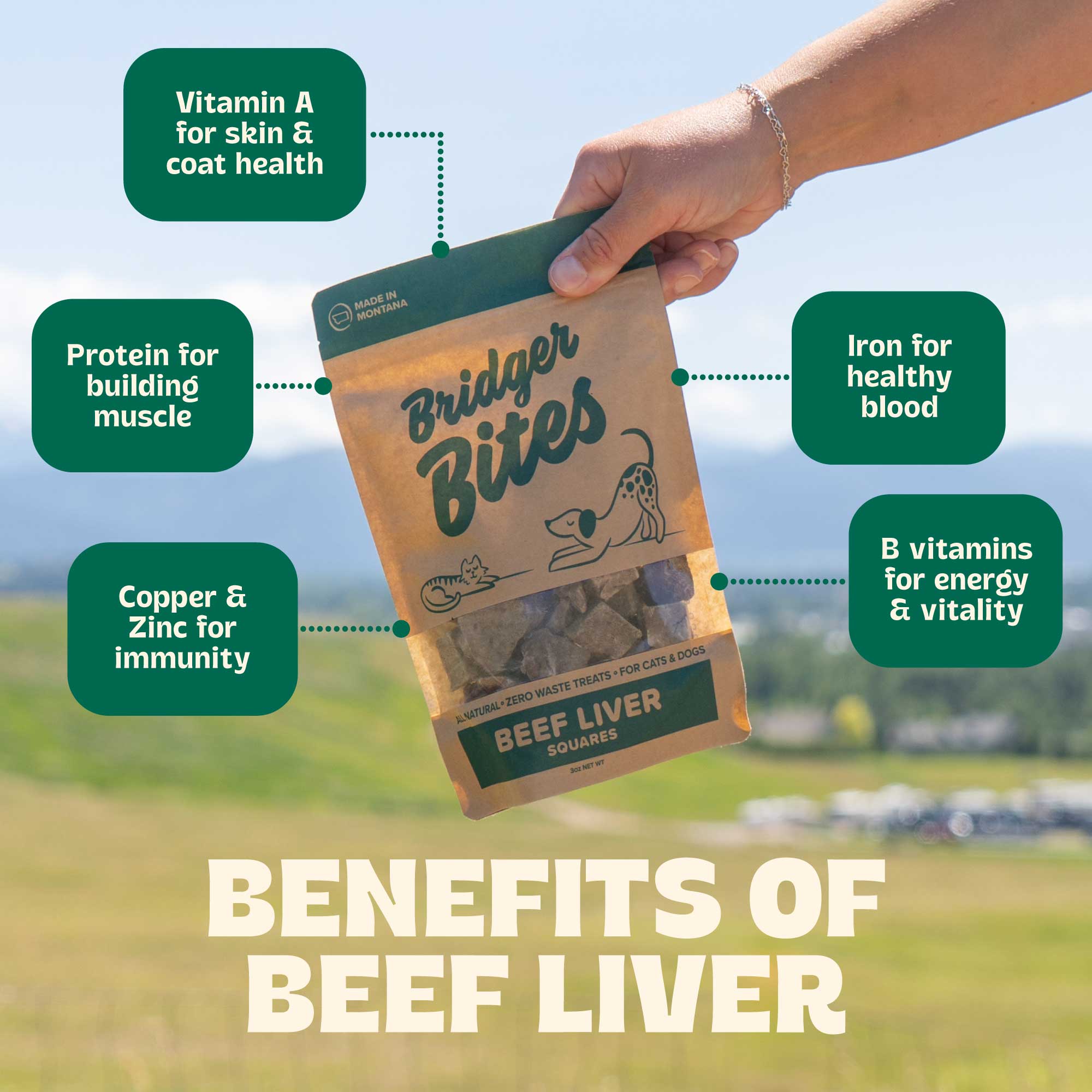 Bridger Bites, LLC - Wholesale Pet Treats - Dog - Freeze-Dried Beef Liver5