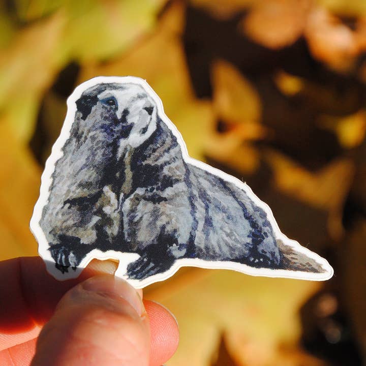 Marmot Sticker for wholesale by Jill Pelto Art