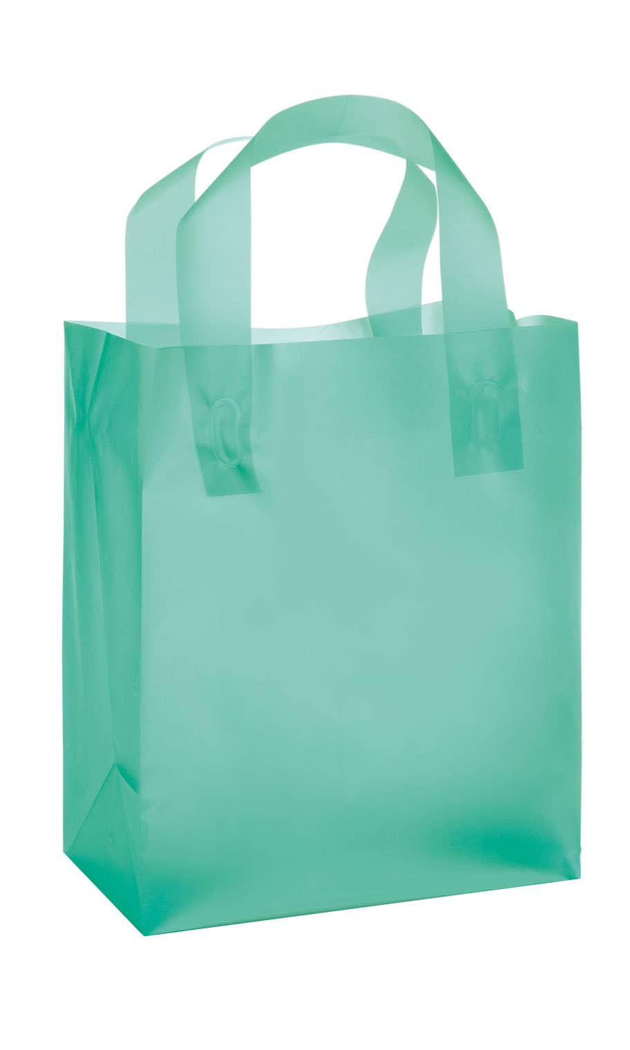 Store Supply Warehouse - Wholesale Gift Bag - Frosted Retail Shopping Bags13