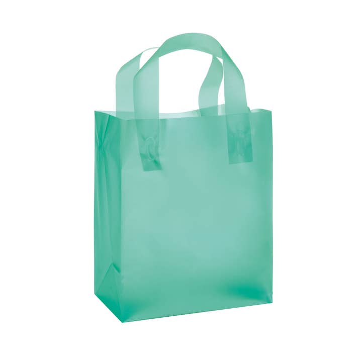 Store Supply Warehouse - Wholesale Gift Bag - Frosted Retail Shopping Bags13
