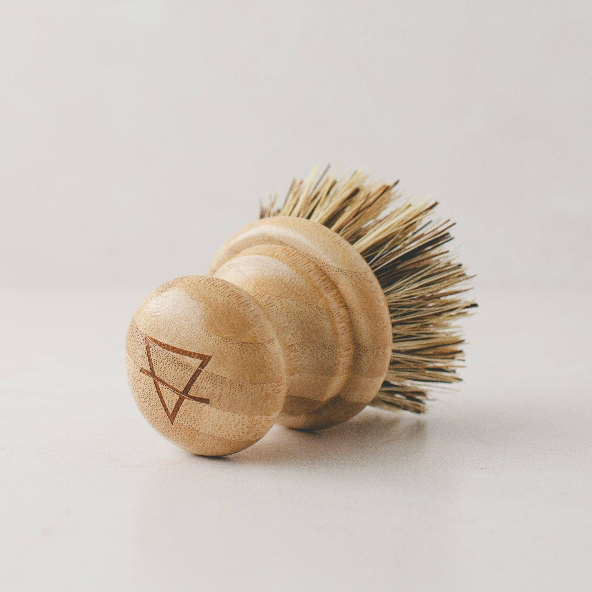 Simple Alchemy Co - Wholesale Cleaning Brush - Compostable Pot Scrubber Brush1