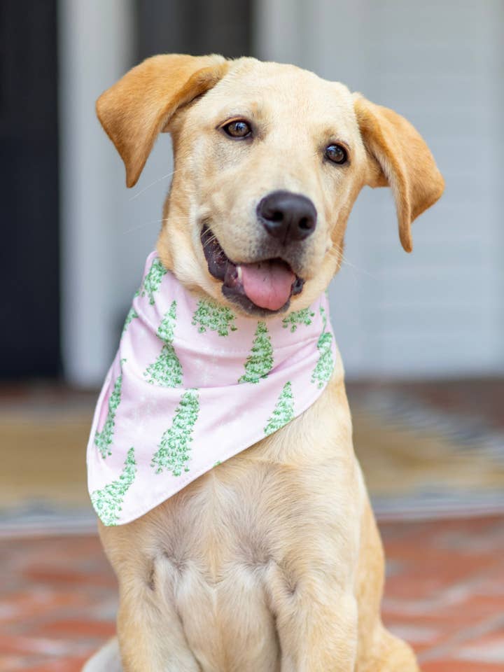Noël 2025 - Bandana pour animaux - Arbres roses pour la vente par Sugar Bee Clothing