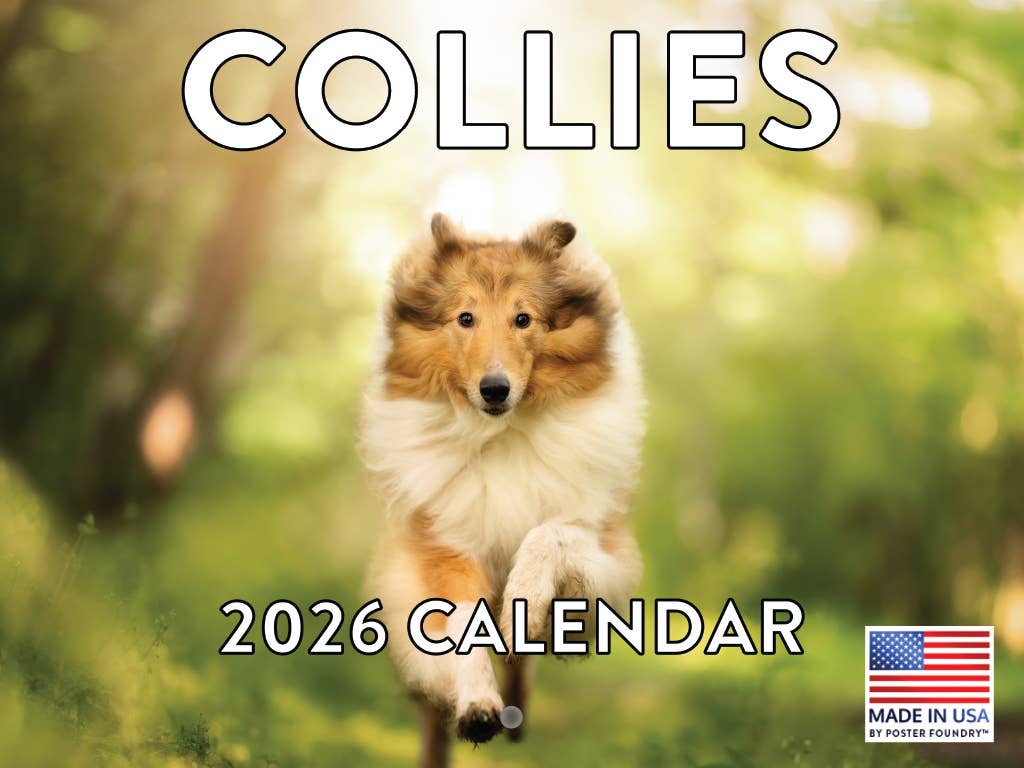 Multi Color Collie Calendar 2026 Monthly Wall Calender | American Made In The USA for wholesale on Faire0