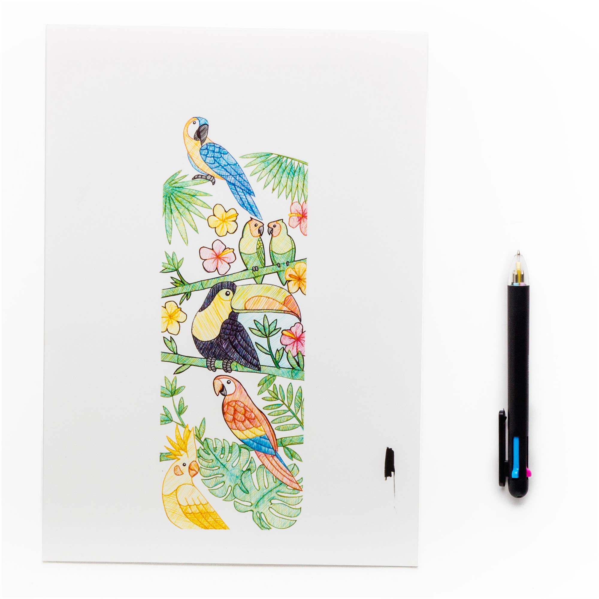 SUCK UK Ltd - USA - Wholesale Pen - CMYK Pen8