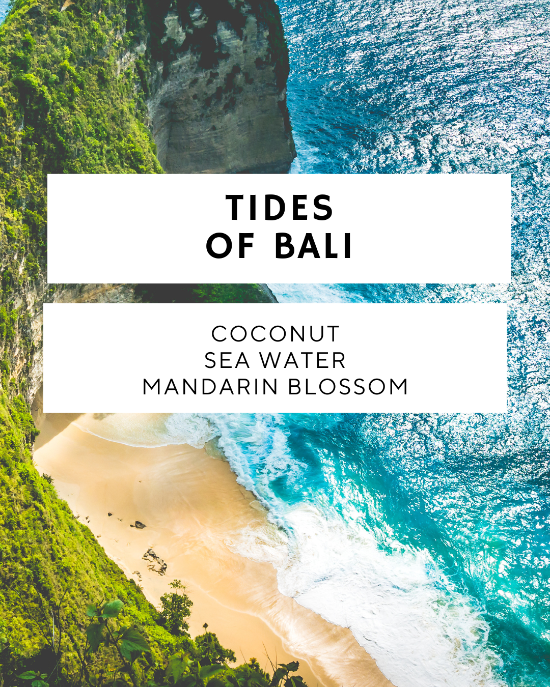 Seven Continents - Wholesale Jar/Filled Candle - Tides of Bali - Soy Candle1