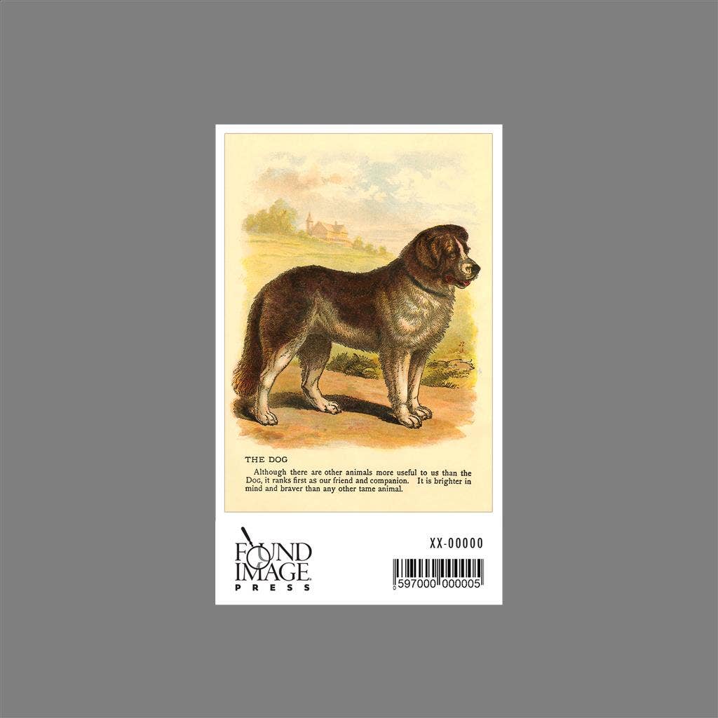 Found Image Press - Wholesale Sticker - Sticker AN-119 St. Bernard1