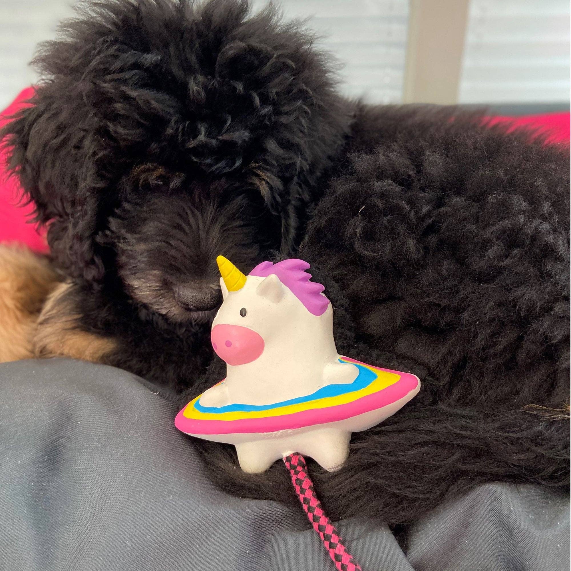 Max & Molly – wholesale Mjukisdjur - Hund – Max & Molly hundleksak Snuggles - Magic Mikey2