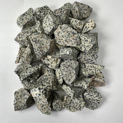 CaNatureLover - Wholesale Spiritual Stone/Crystal - Dalmatian Jasper RAW, 0.75"-1.25", RAW Dalmatian Jasper5