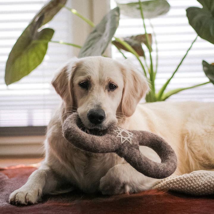 Wooliie - Wholesale Pet Toy - Dog - Alchemy Creation Infinity Ring - All-Natural Wool Dog Toy6