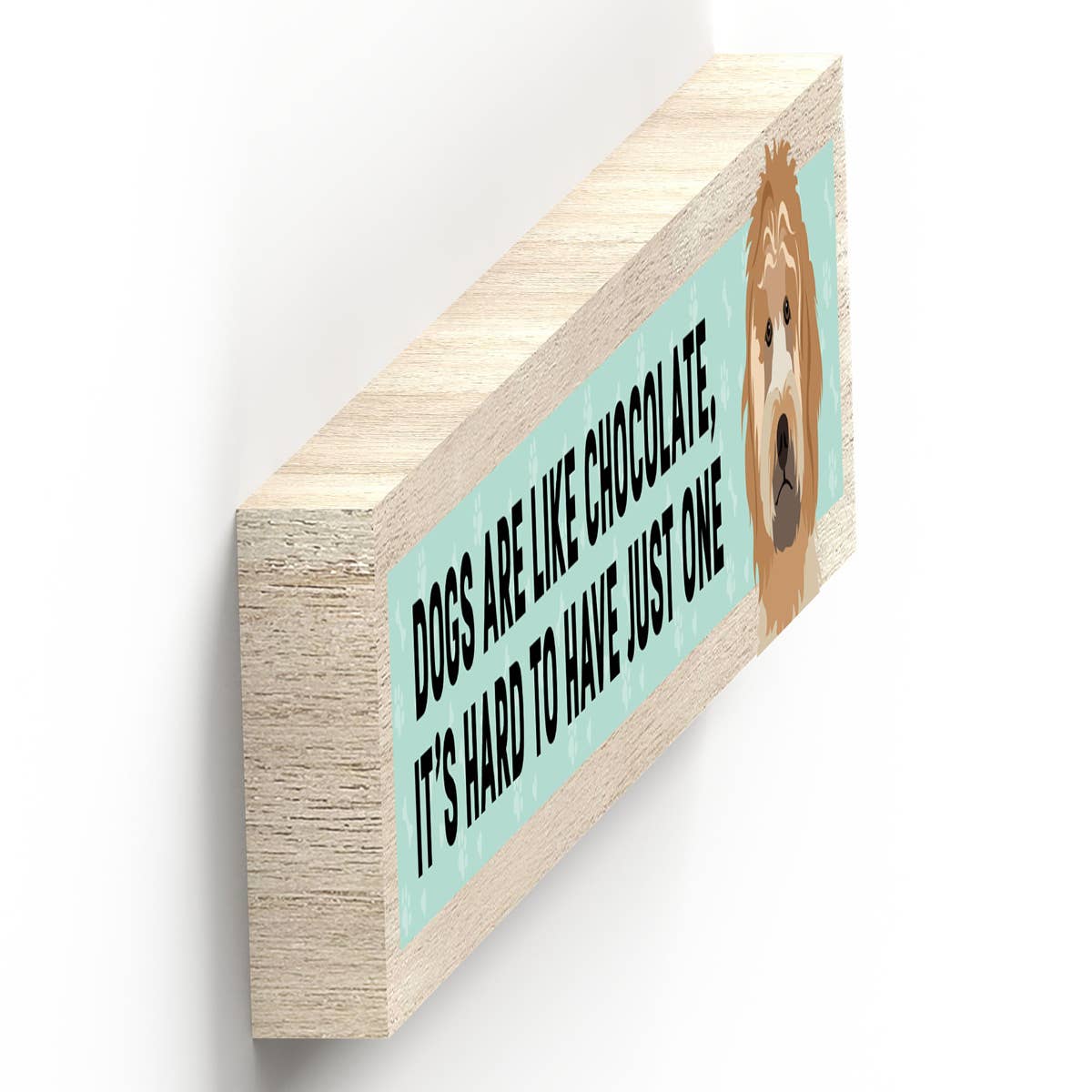 Vivid Squid Wholesale – Großhandel Schilder – P6233 - Kakapoo wie Schokolade, es ist schwer, eine Katie Pears zu haben2