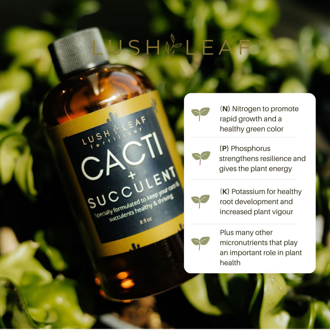 Lush Leaf - Wholesale Fertilizer - Cacti & Succulent Plant Food3