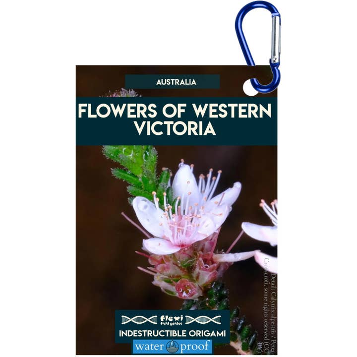 Fleurs de l'ouest de Victoria - Origami indestructible pour la vente par Flexi Field Guides