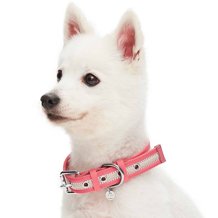 Blueberry Pet – wholesale Halsband - Hund – 3M Reflekterande Randig Hundhalsband – Hållbart & Stilfullt22