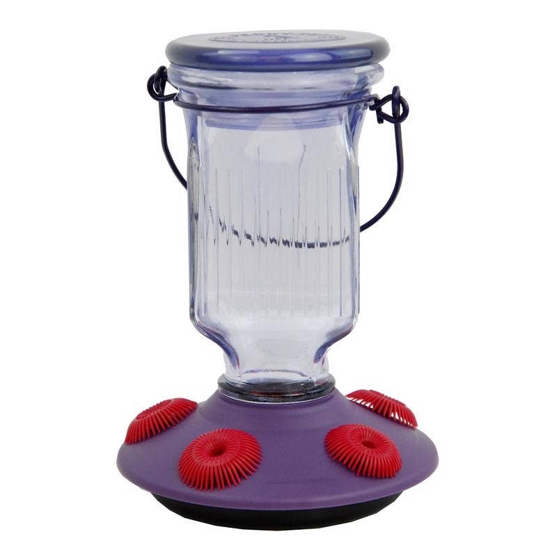 Everyday Supply Co - Wholesale Bird Feeder - Perky-Pet Hummingbird Feeder, 16 oz, 5 Ports, 2-Pack0