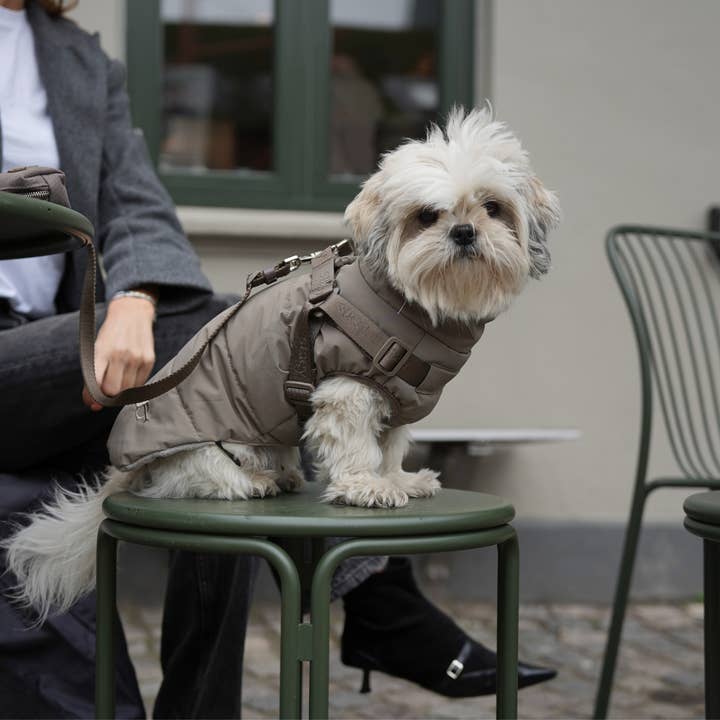 Staey - Wholesale Pet Coat - Dog - Vera Dog Coat with Harness | Sage9