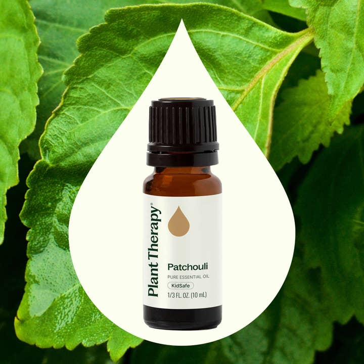 Plant Therapy - Wholesale Essential Oil - Patchouli Essential Oil 10 mL