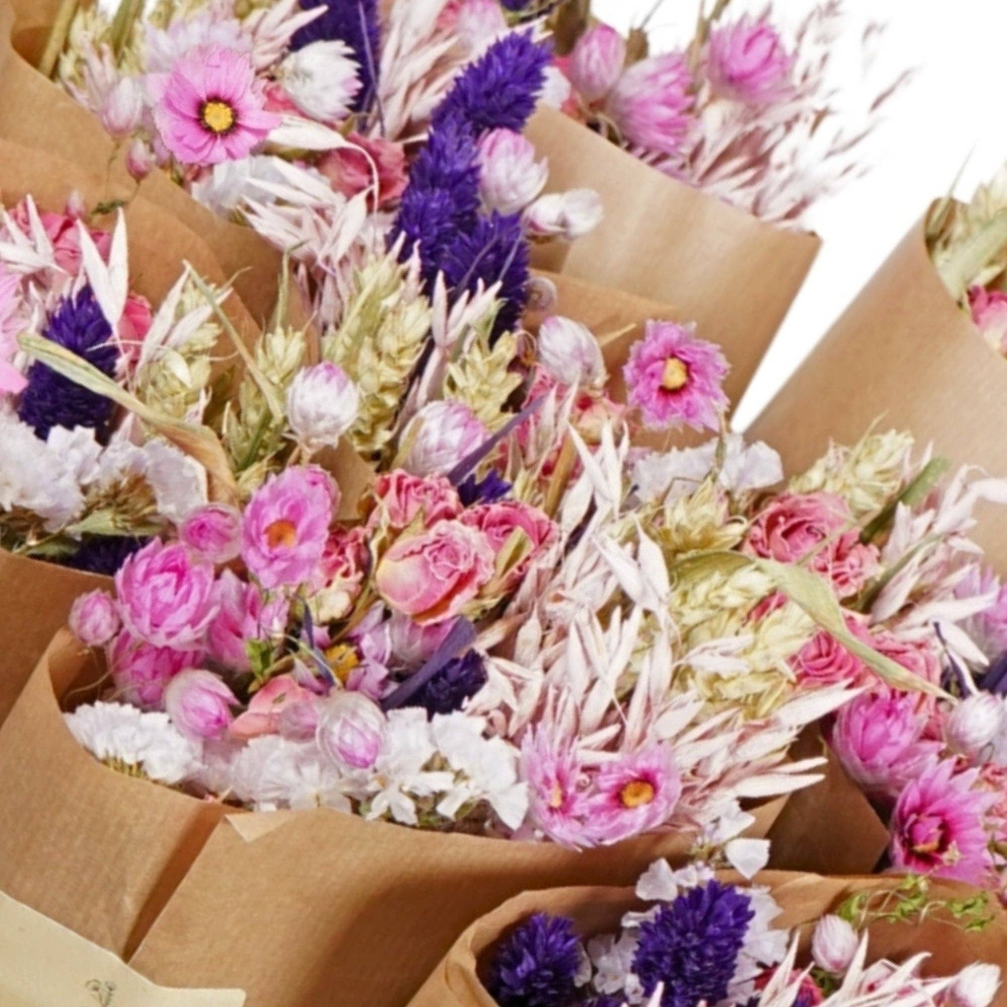 Wildflowers by Floriette - Wholesale Dried/Pressed Flowers - Dried Flowers - Market more - Purple Glow1