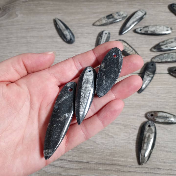 Keystone Crystals - Wholesale Individual Charm/Pendant - Orthoceras Fossil Focal Bead2
