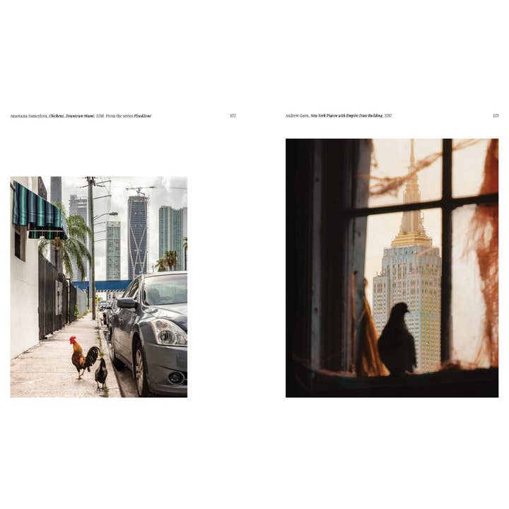 W. W. Norton - Wholesale Display Book - Aviary: The Bird in Contemporary Photography8