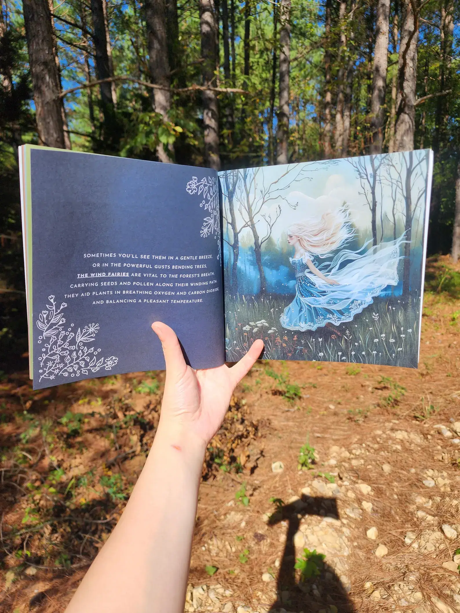 Author Linda Blackmoor - Wholesale Preschool Book (3-5) - Fairies of the Forest2