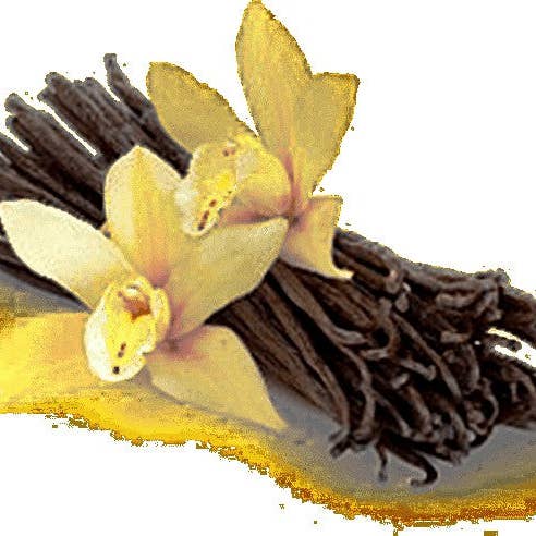 Fragrance Oil -Vanilla for wholesale by Arômes & Évasions