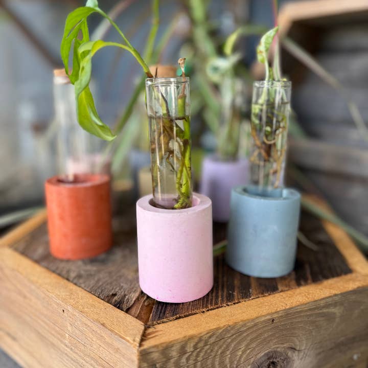 Good Girl Market - Wholesale Vase - Concrete Propagation Station7