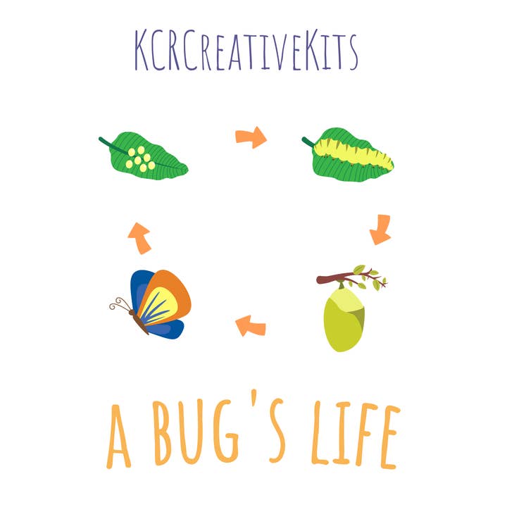 Het leven van een insect voor wholesale door KCRCreativeKits