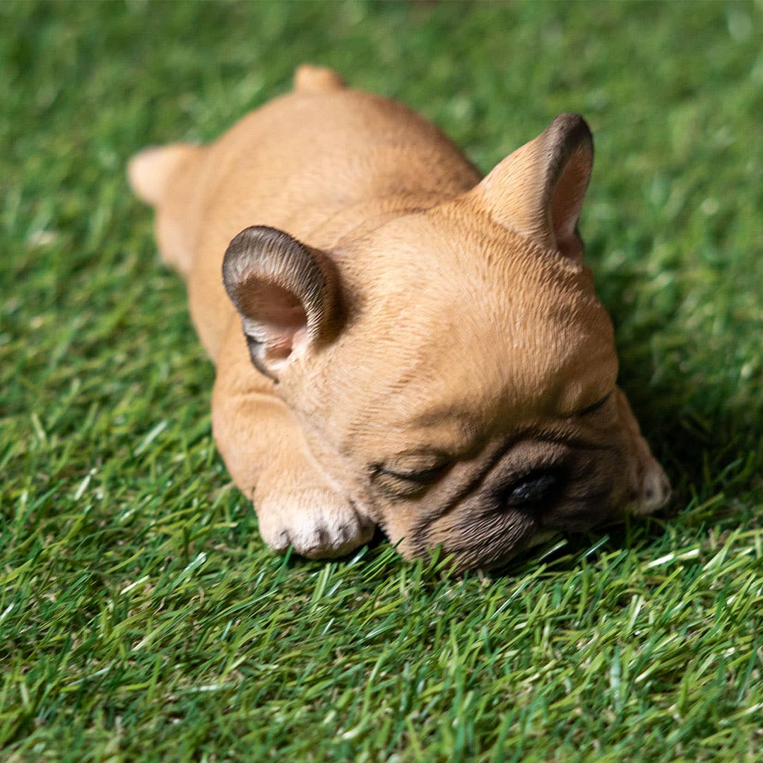 Pacific Trading - Venta al por mayor Figura decorativa - Frenchie durmiendo5