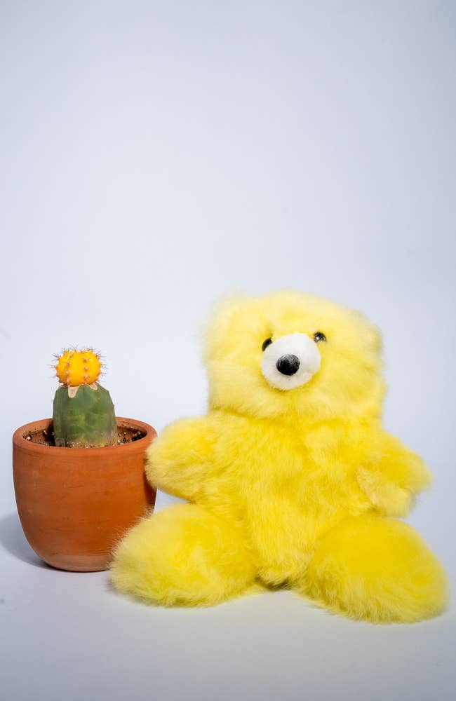 WUAMAN - Alpaca – wholesale Fyllda/plyschleksaker - Barn och baby – Teddybjörn 6" | Alpacka Gosedjur | Handgjord0