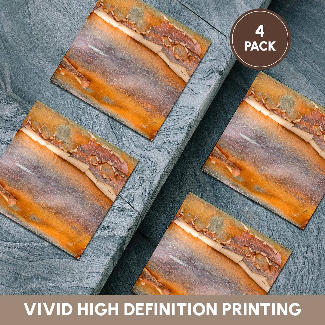 3dRose - Wholesale Coasters - 3dRose, USA, Washington State. Bellevue Botanical garden and tree bark, Coaster5