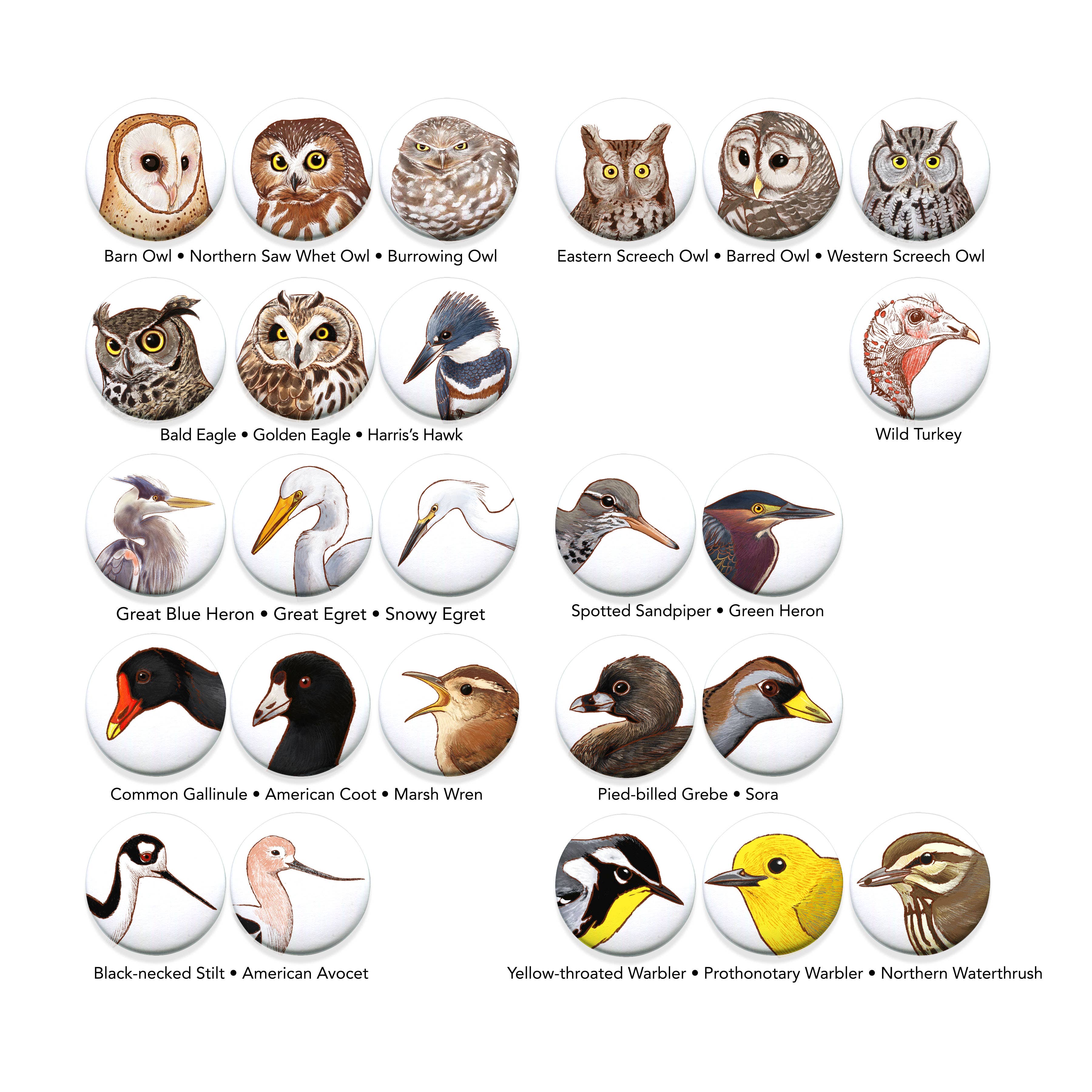 River Thrush Studio - Wholesale Lapel Pin/Button - Bird Portrait Pins 1.5 inches5