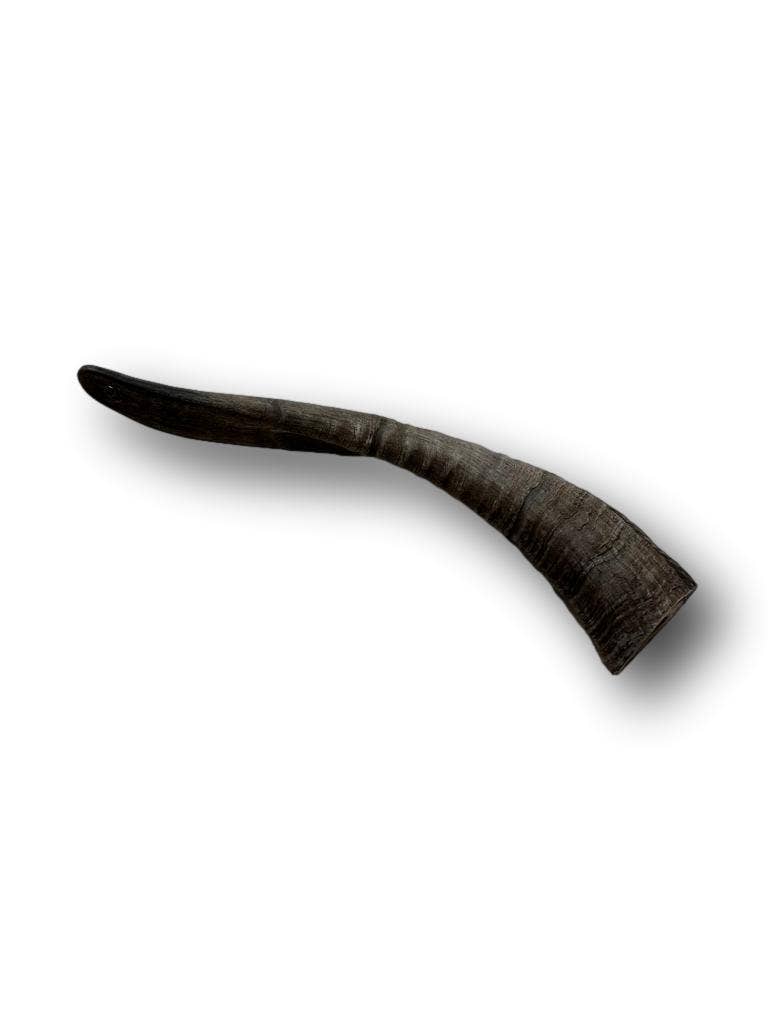 Healthy Dog Chews - Wholesale Pet Chew Toy - Dog - Goat Horn Small 5"-7" (GH0101S)1