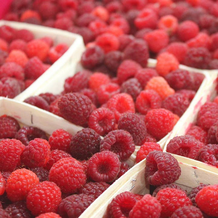 Blake Hill Preserves - Wholesale Jam/Jelly - Raspberry Mostarda