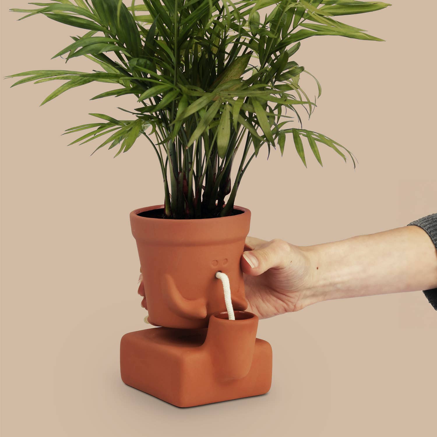 Pikkii - Vente Pot - Le Planteur Assoiffé | Pot de Plante Auto-Arrosant | Cadeau de Plante4